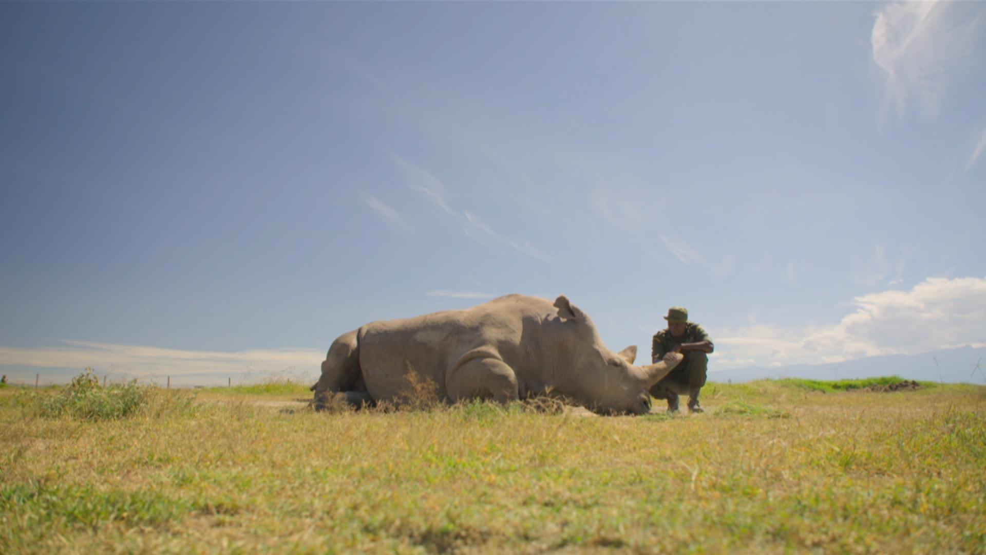 Extinction Program image