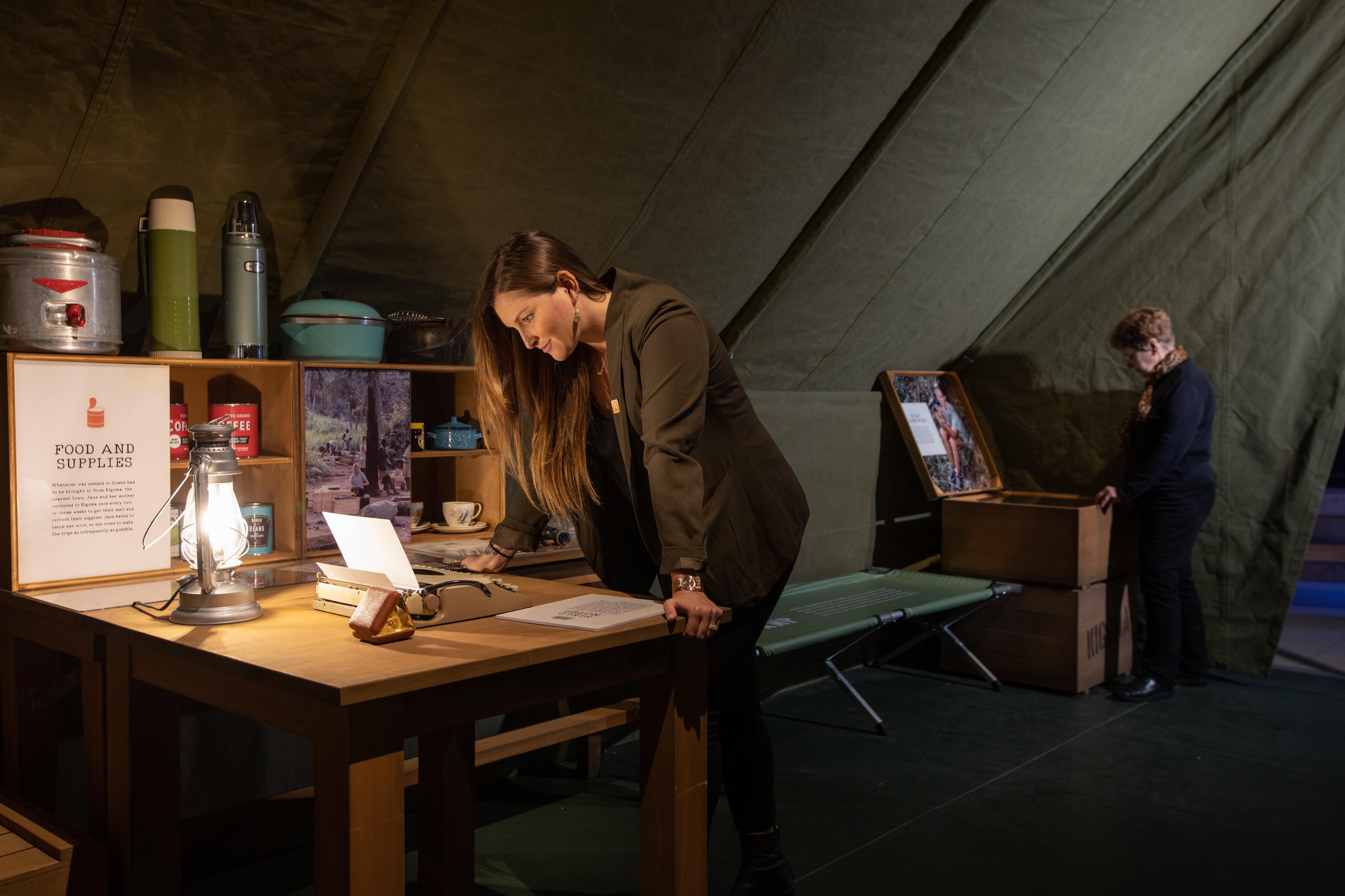 woman standing in a replica of jane goodall's research tent