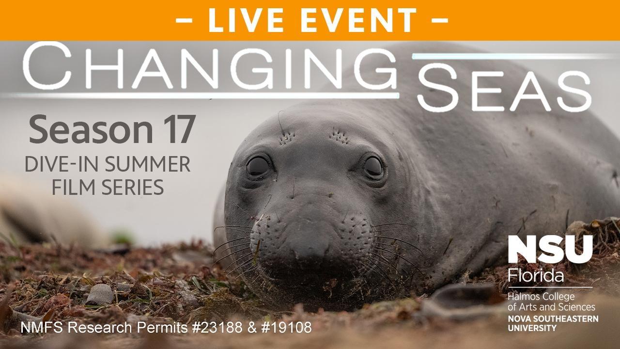 Changing Seas Dive-In Summer Film Series