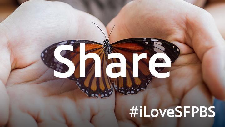 Share your love of South Florida PBS