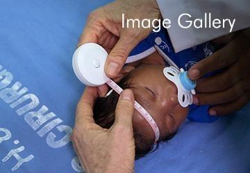 Image Gallery