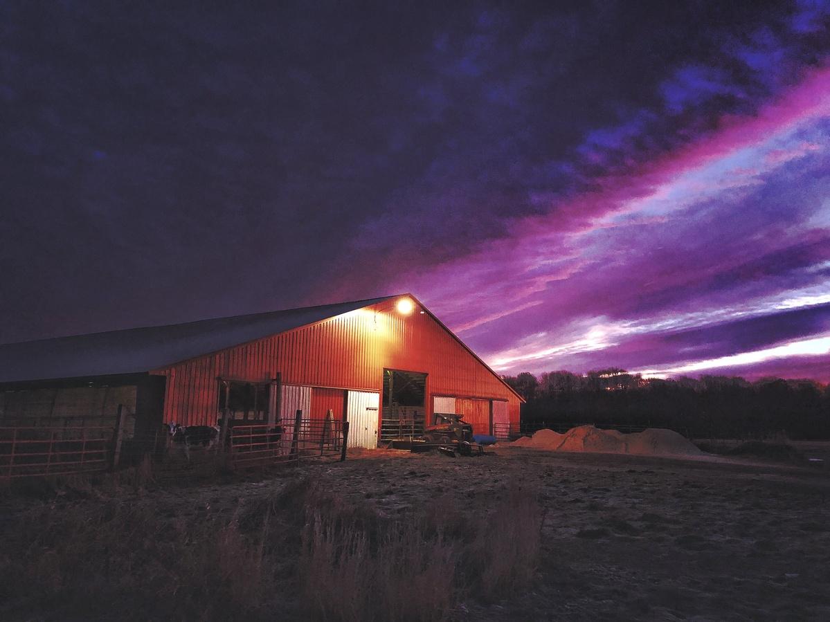 Dairyland in Distress