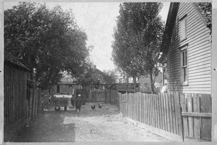 Photo of Jones Island Street with Person and Chickens