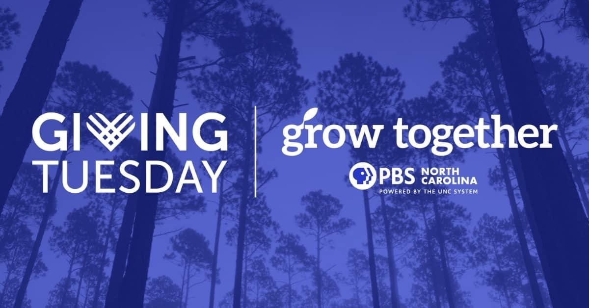 Giving Tuesday logo and Grow Together logo on a blue tinted background of trees in a forest