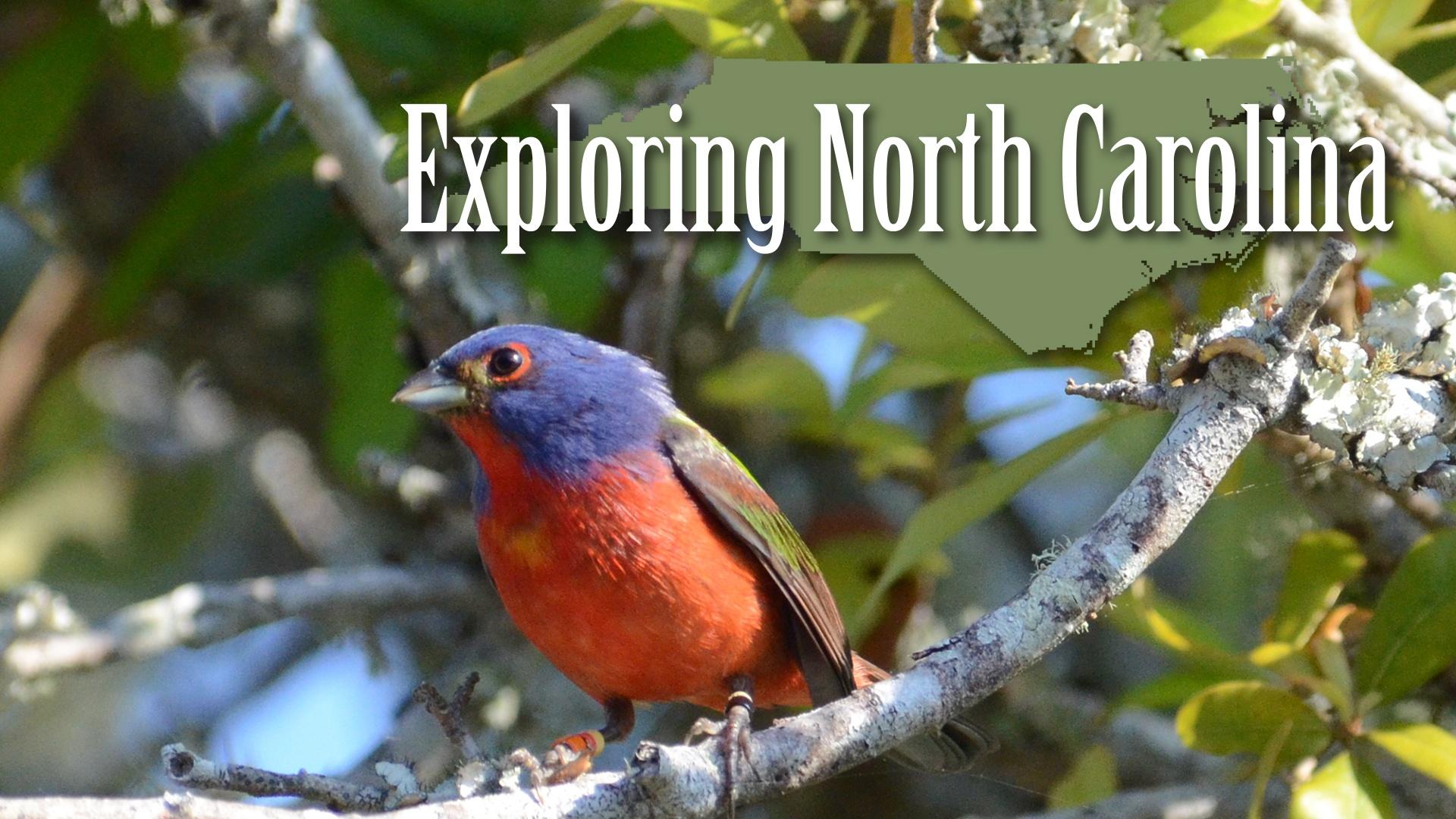 Learn More About Exploring North Carolina