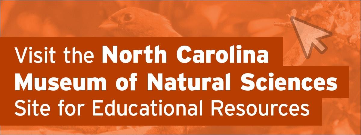 Visit the North Carolina Museum of Natural Sciences Site for Educational Resources