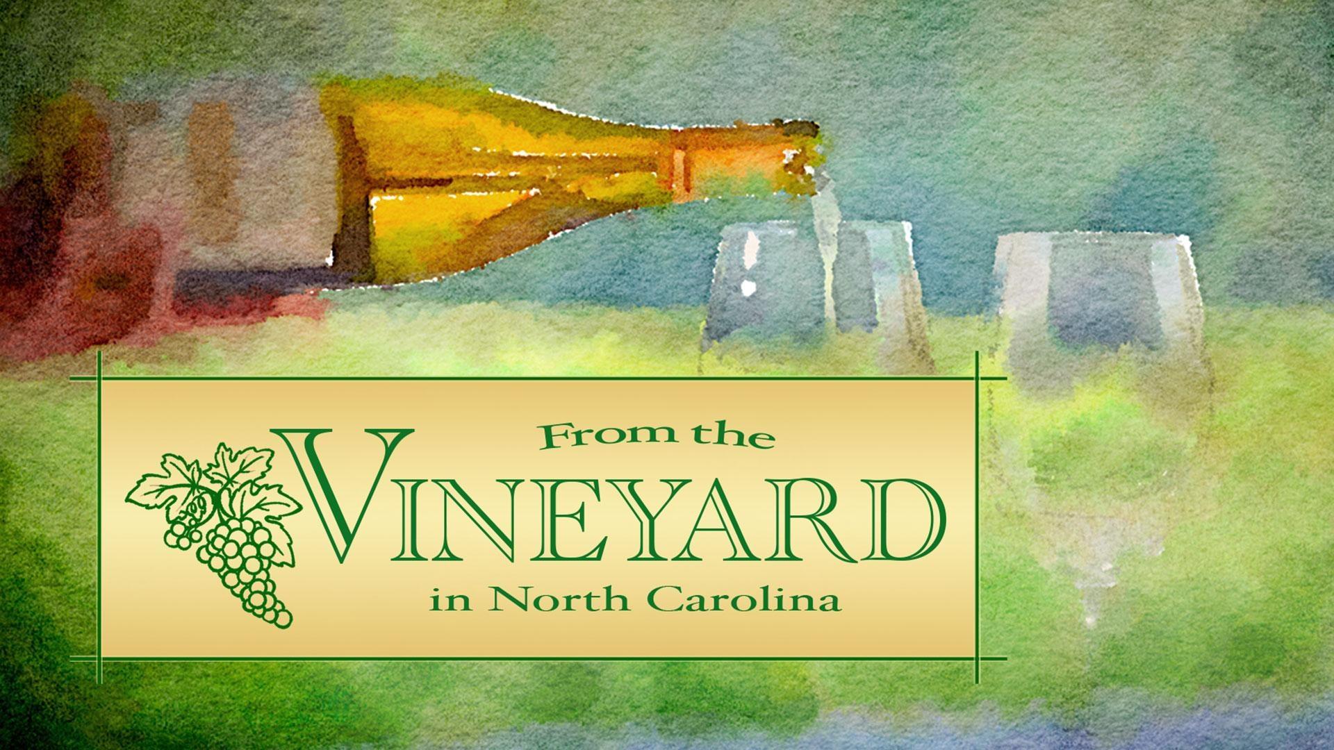 Fom the Vineyard logo