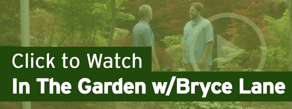 Click to Watch In The Garden w/Bryce Lane