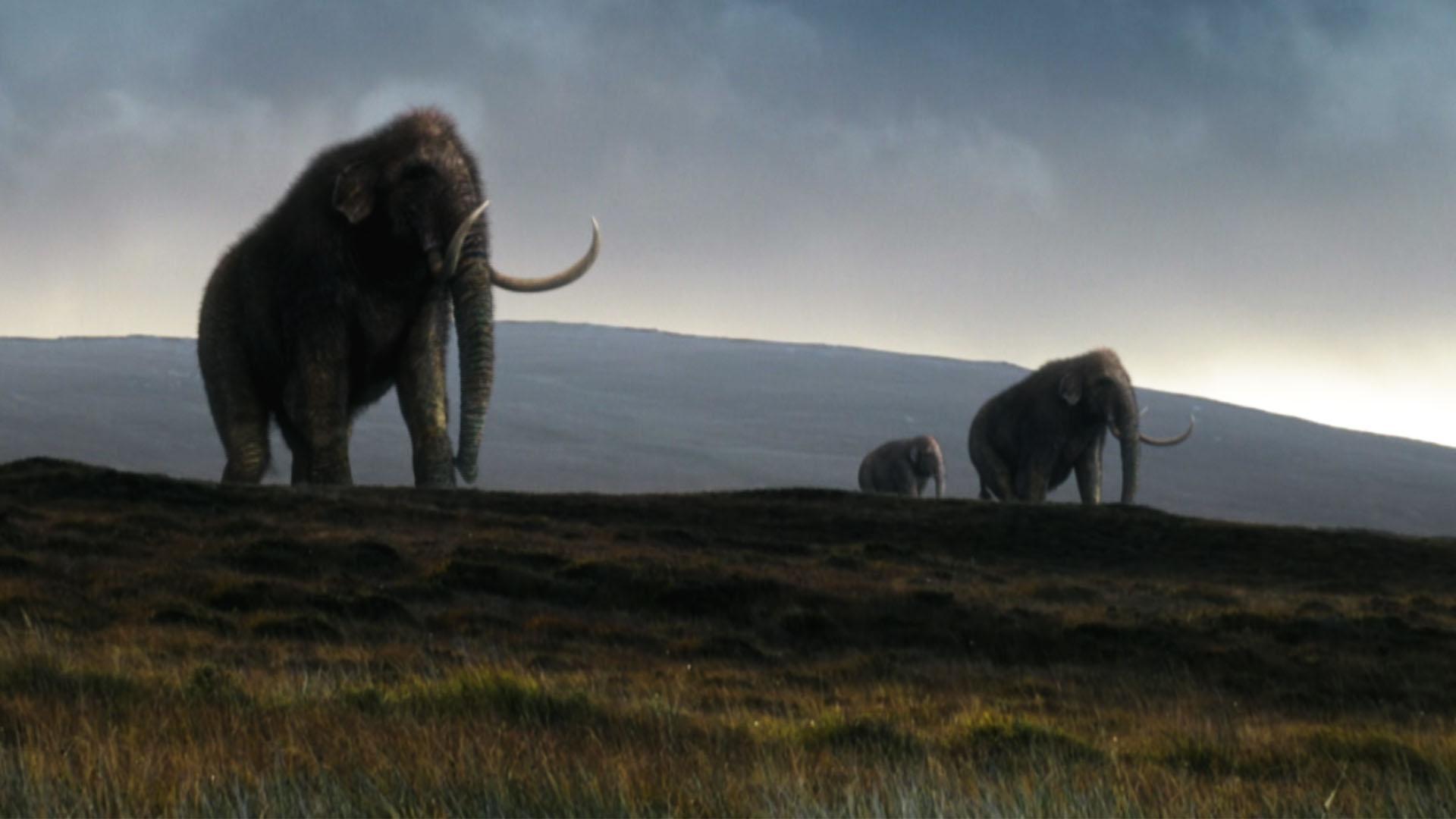 scene from NOVA: Great Mammoth Mystery 