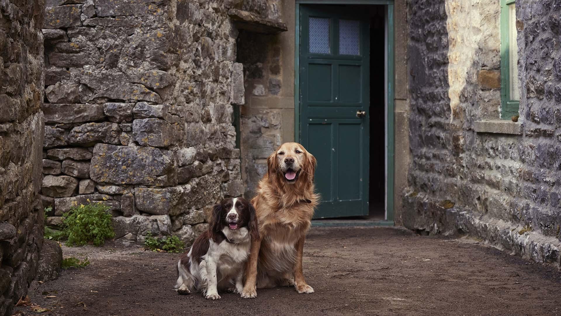 scene from All Creatures Great and Small