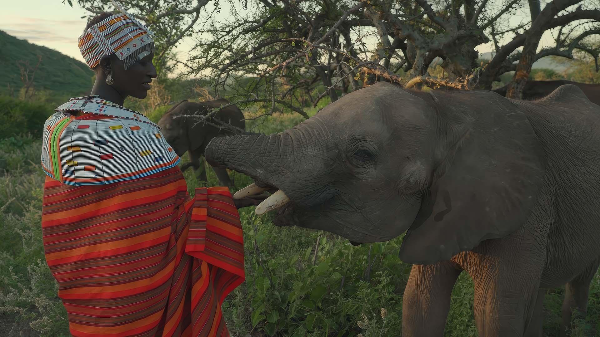 scene from Our New World