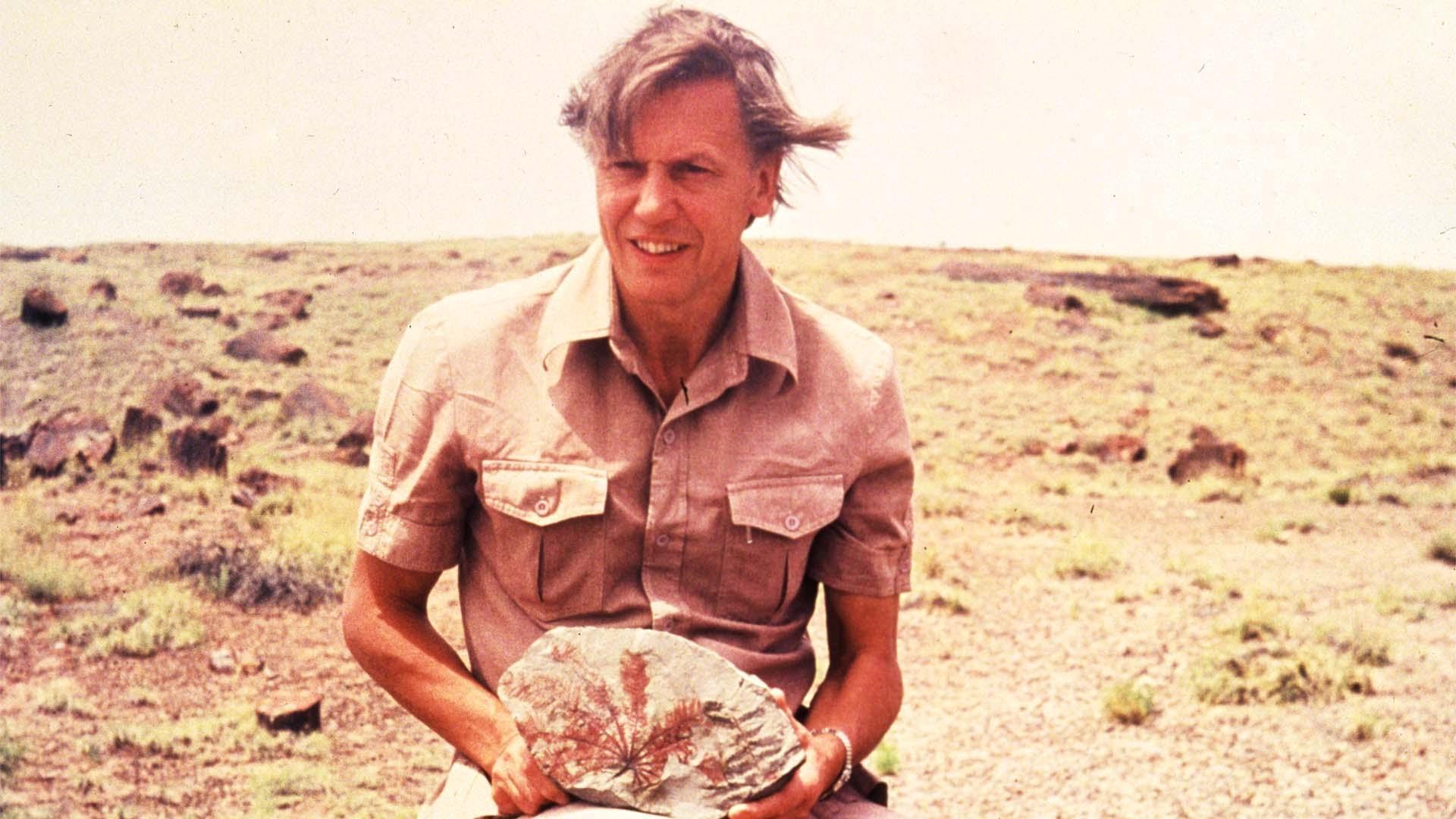 scene from Life on Earth: Attenborough’s Greatest Adventure