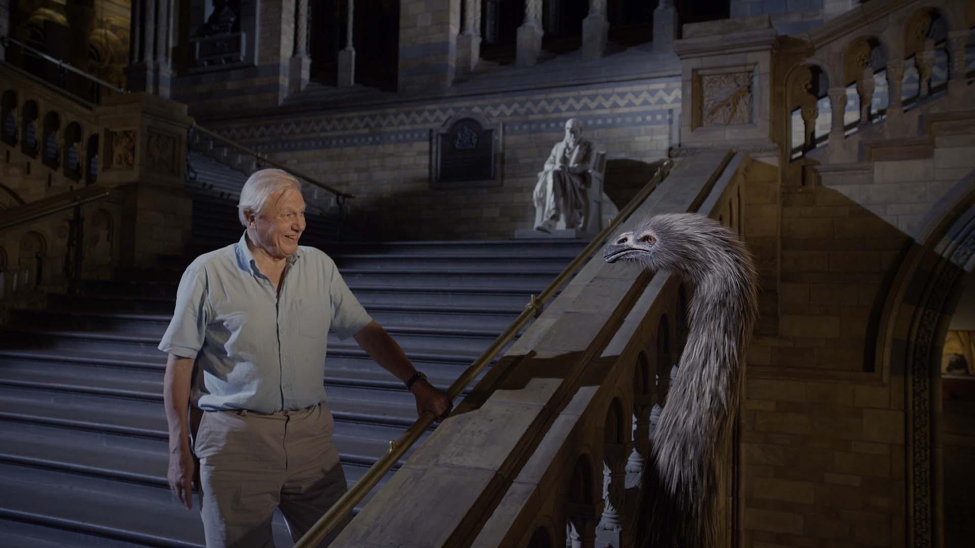 scene from Museum Alive with David Attenborough