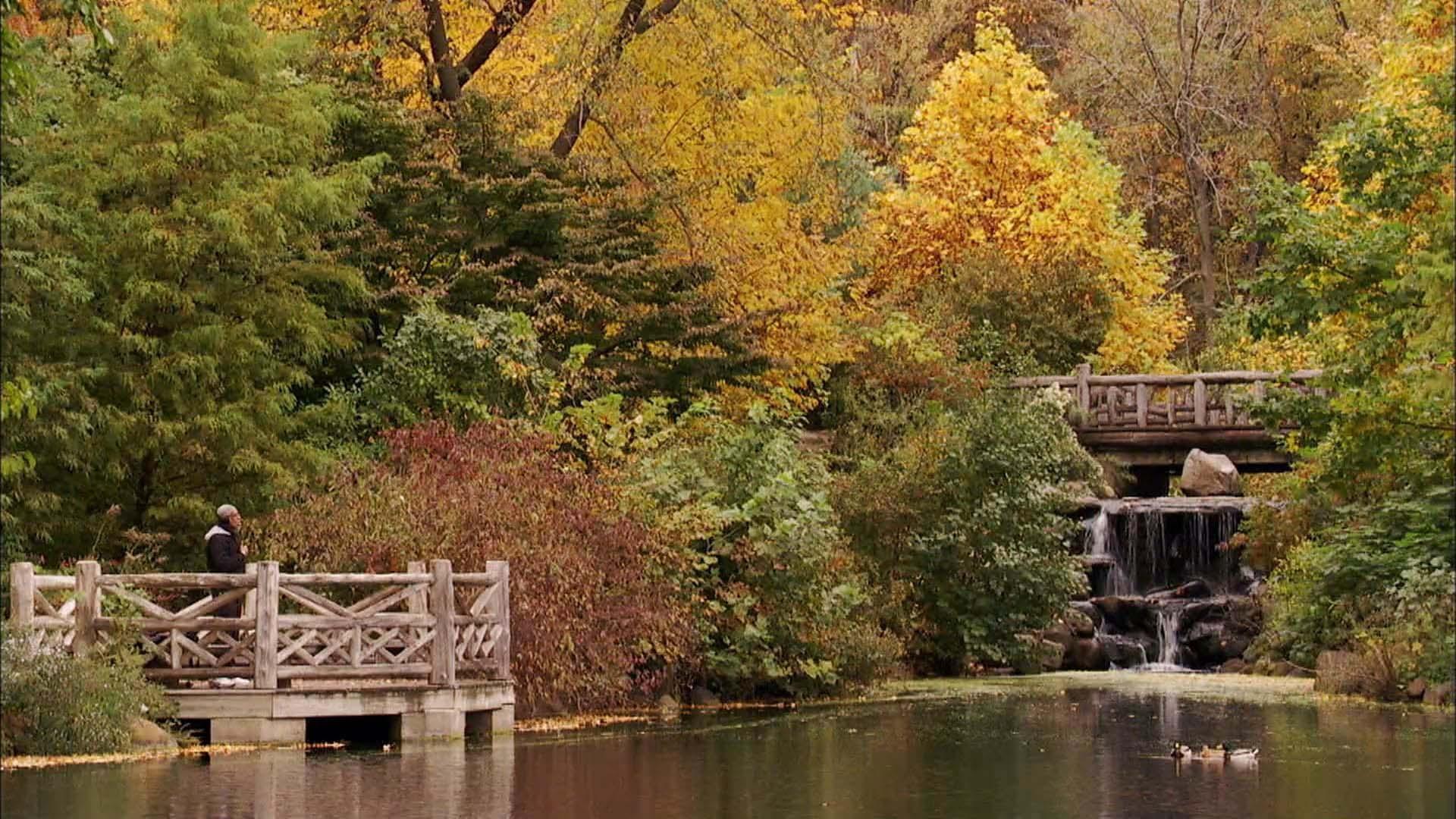 scene from Designing America