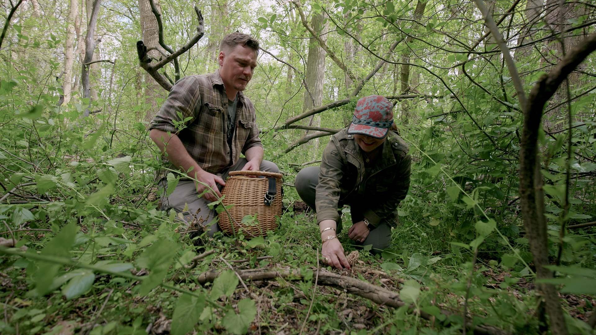 scene from America the Bountiful