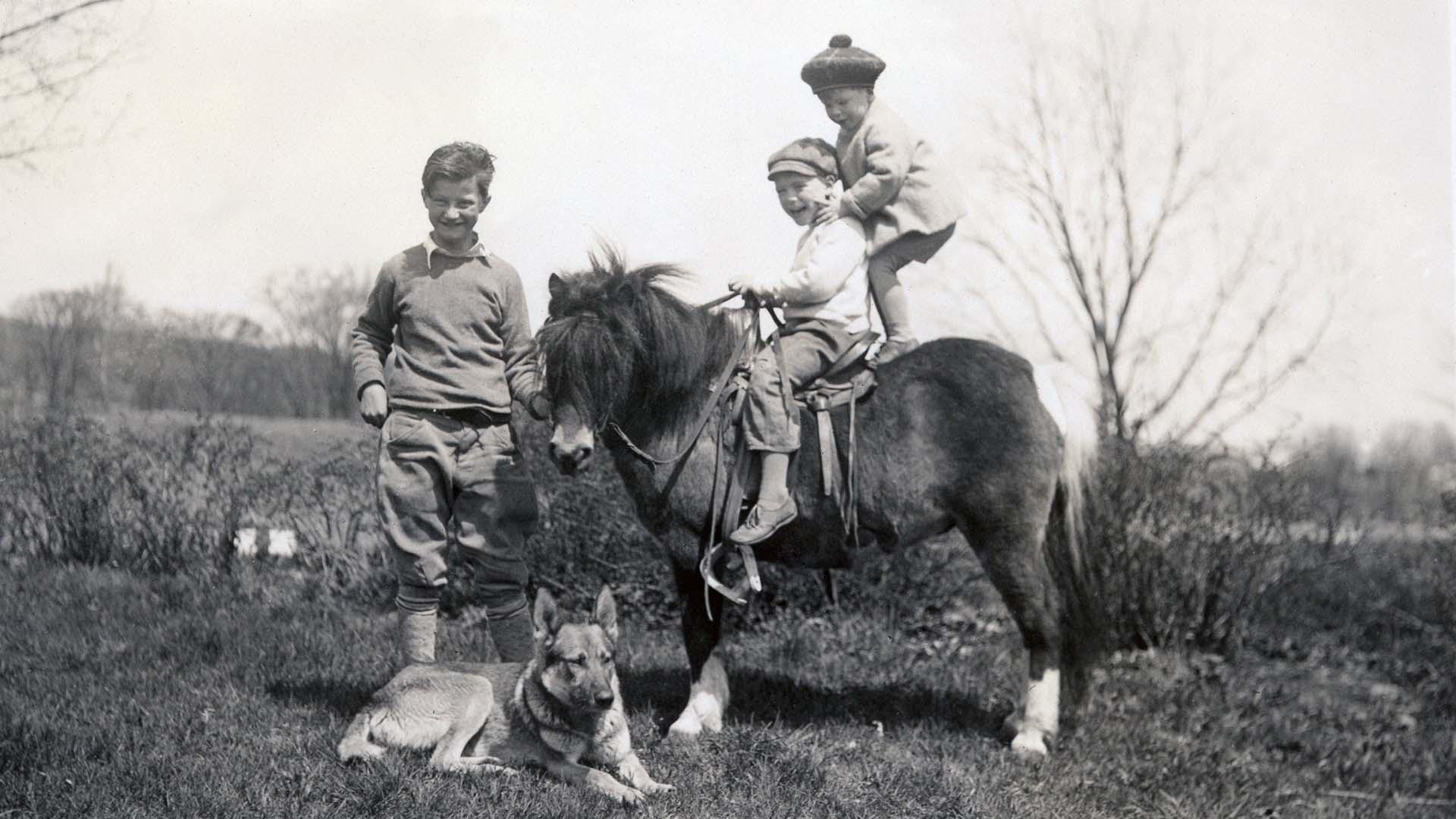 scene from Farmboy