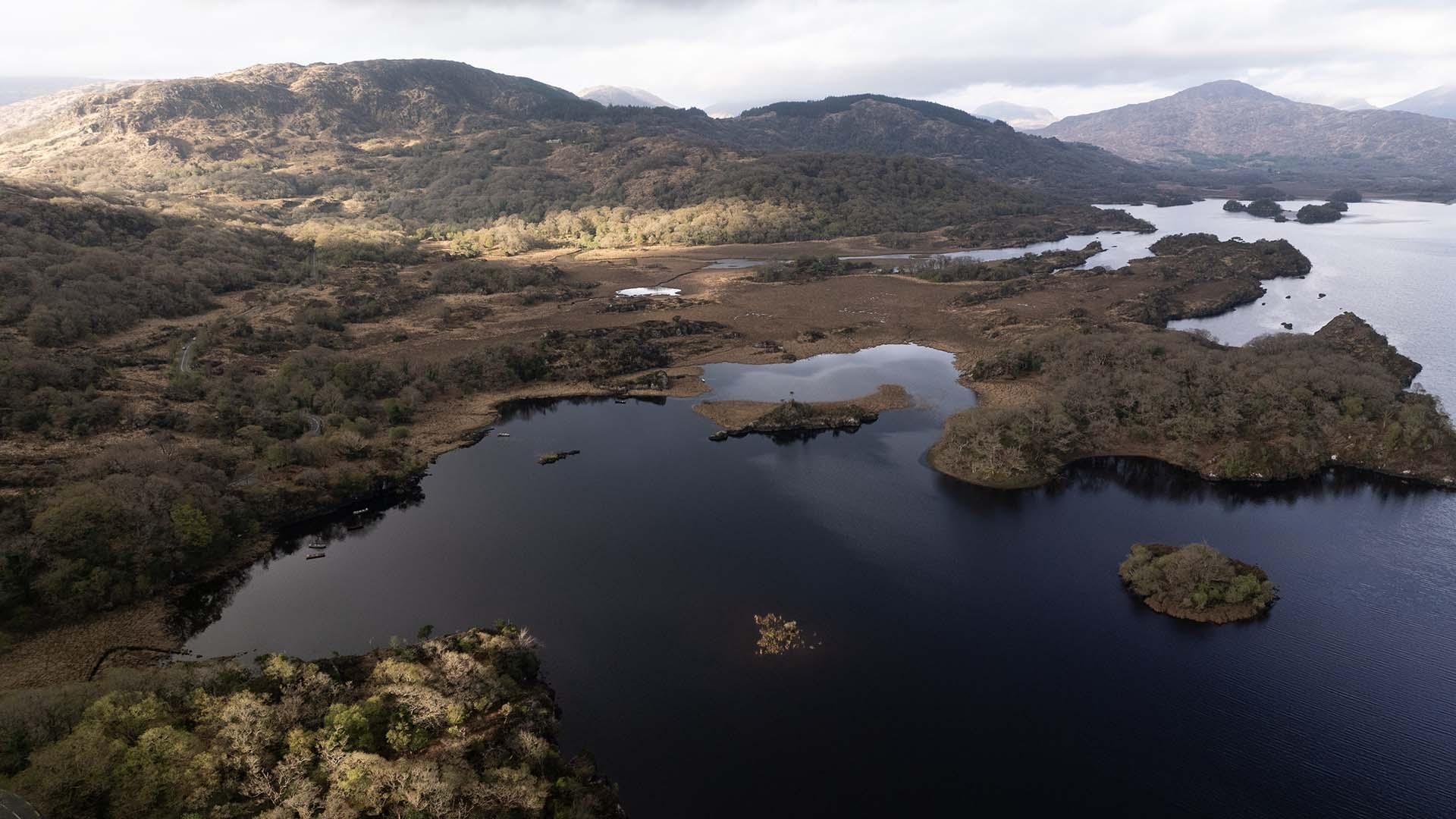 Kerry