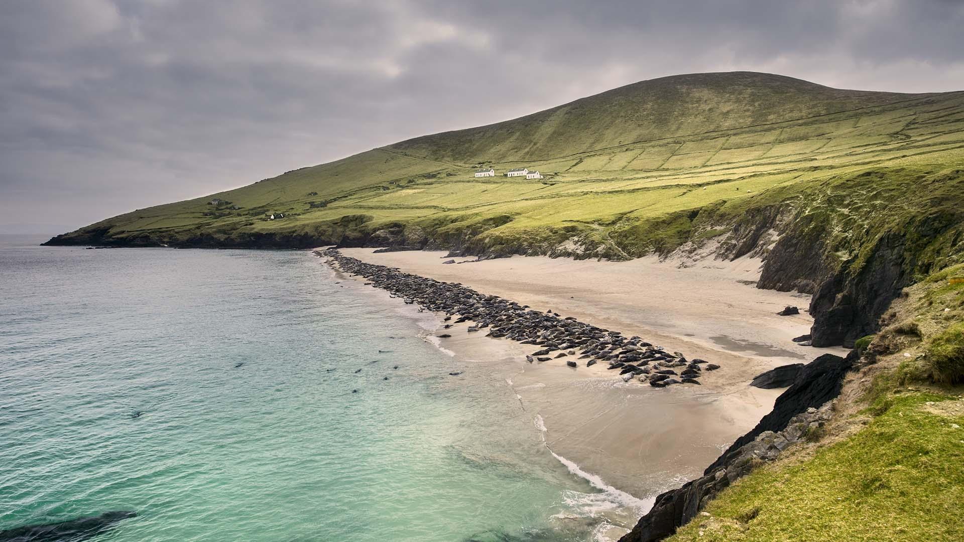 Ireland's coast
