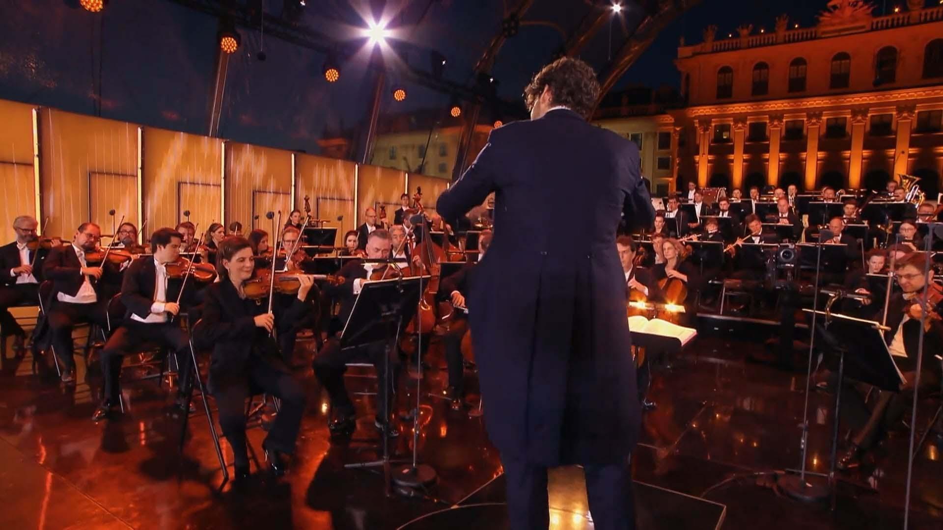 scene from Vienna Summer Night Concert