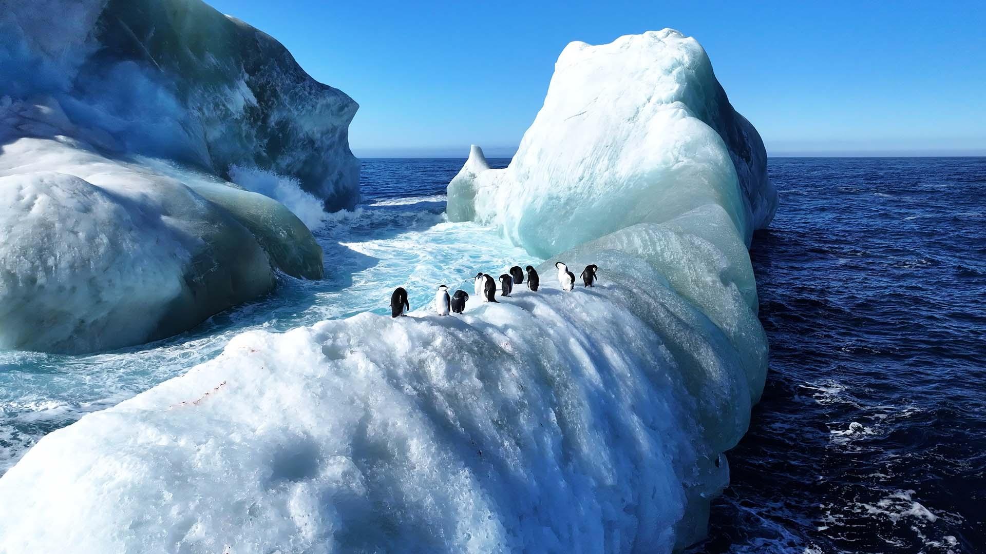 scene from Ages of Ice
