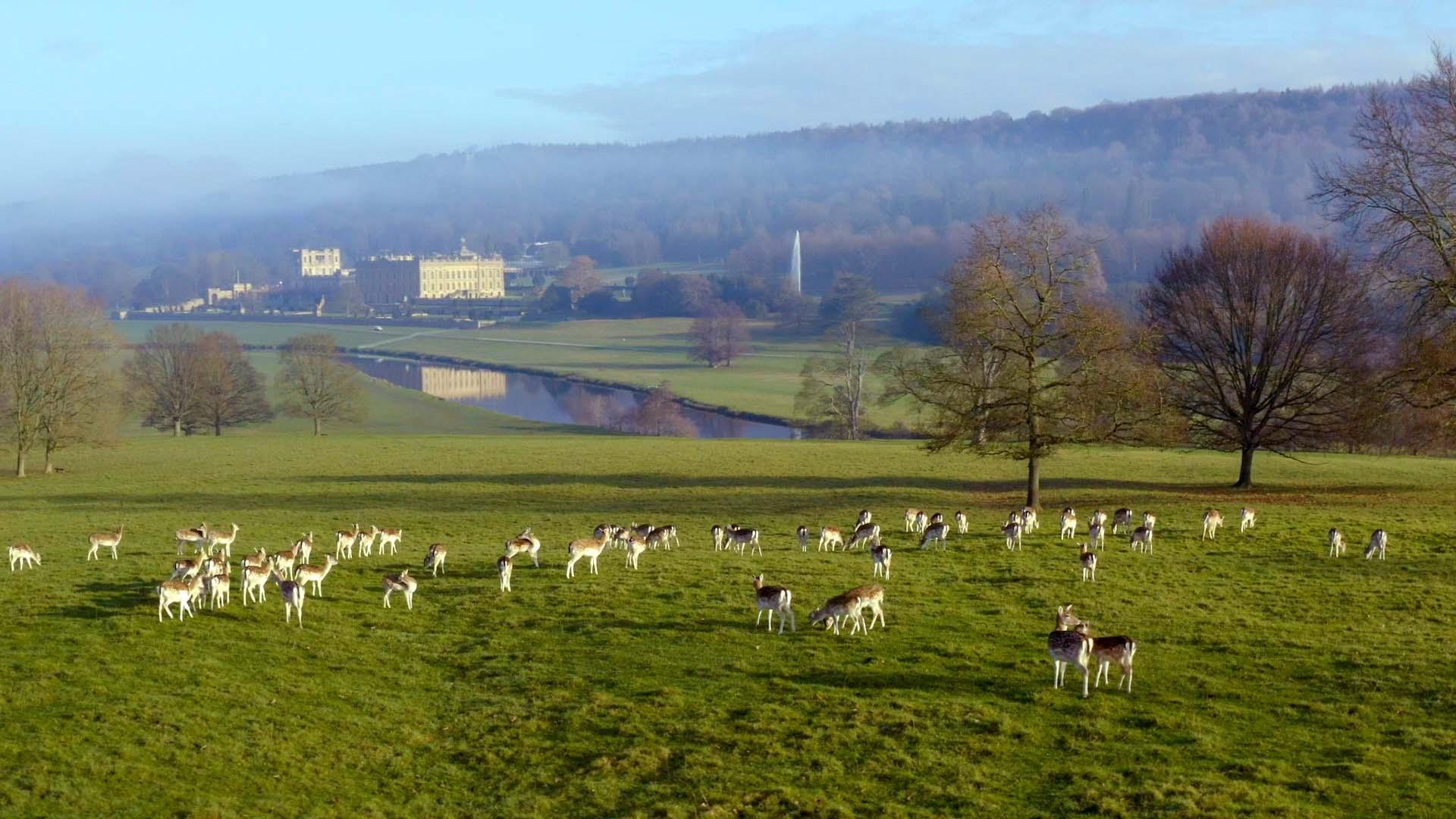 Chatsworth