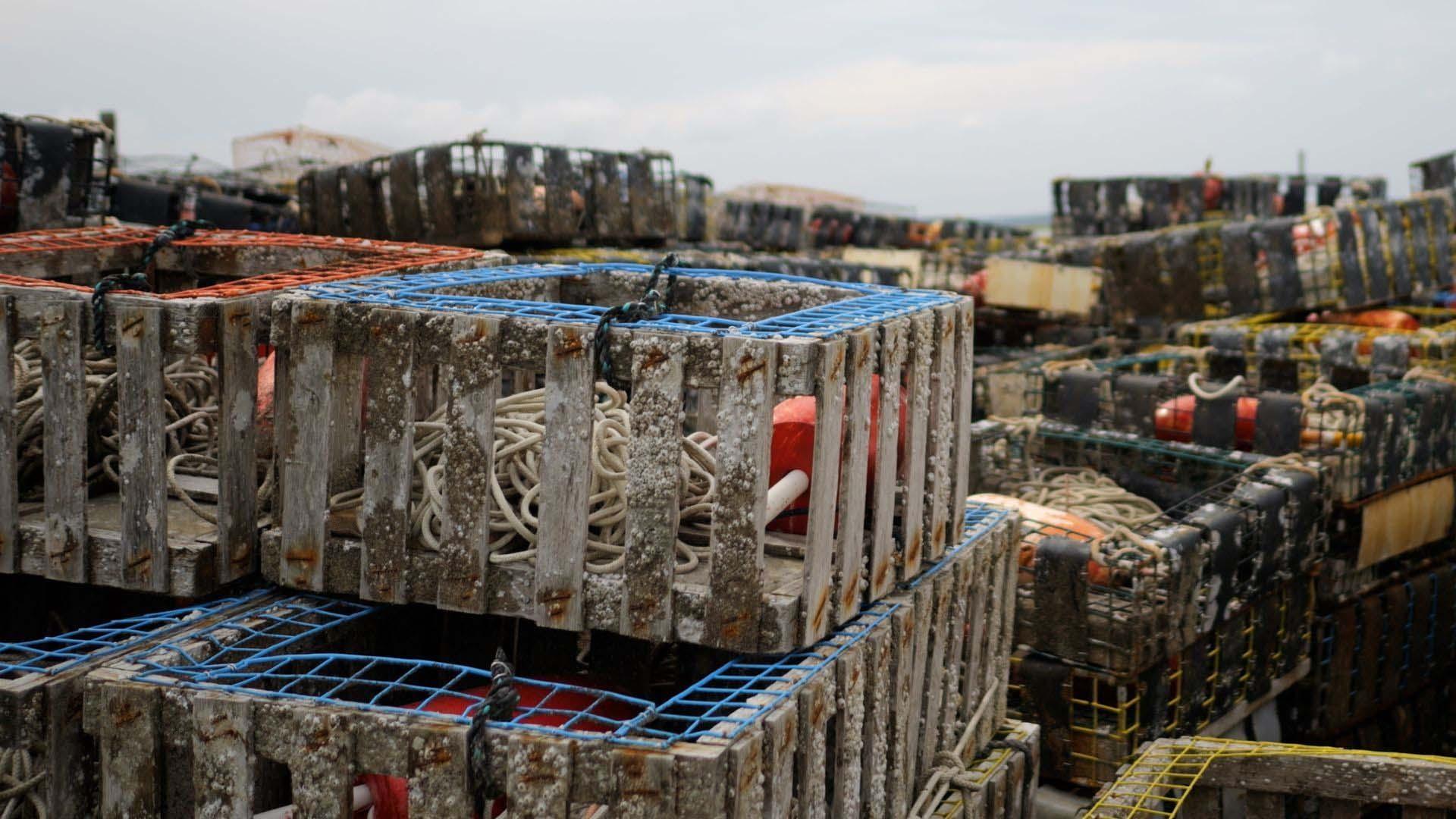 scene from Hometowns