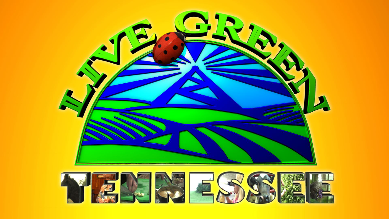 Live Green Tennessee