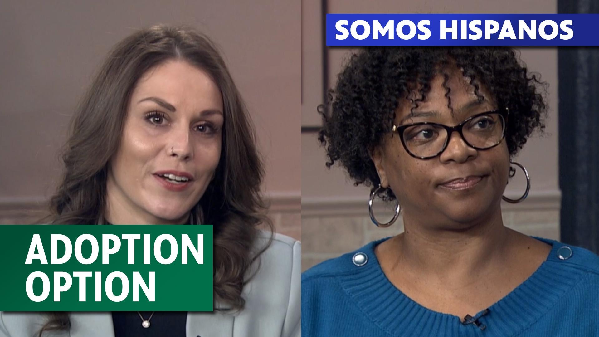Somos Hispanos - Adoption Option