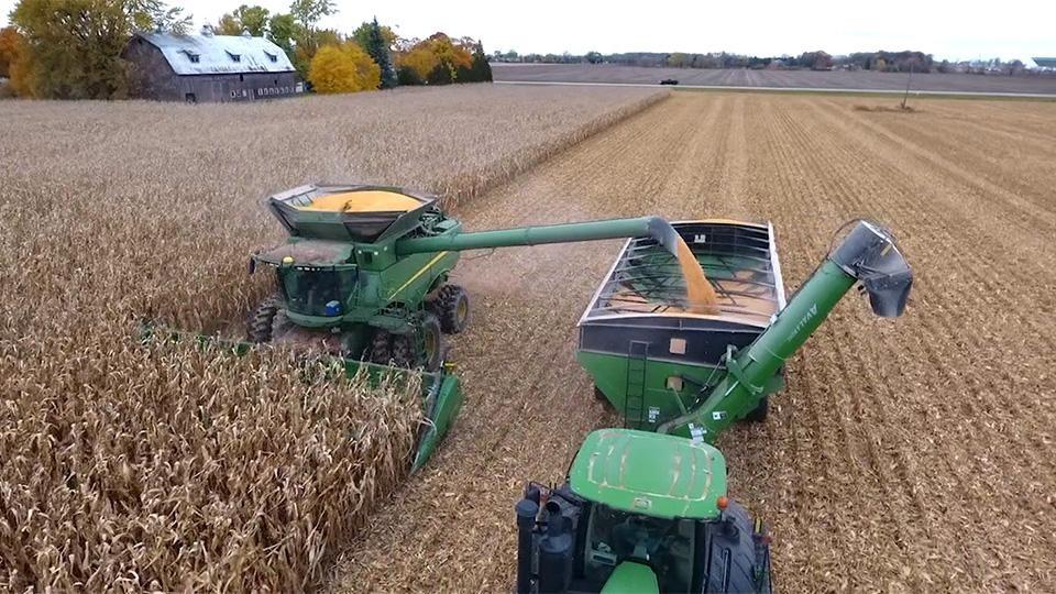 A machine harvesting corn.