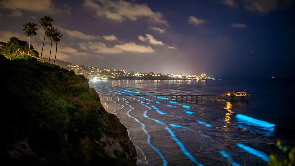 The San Diego coastline.