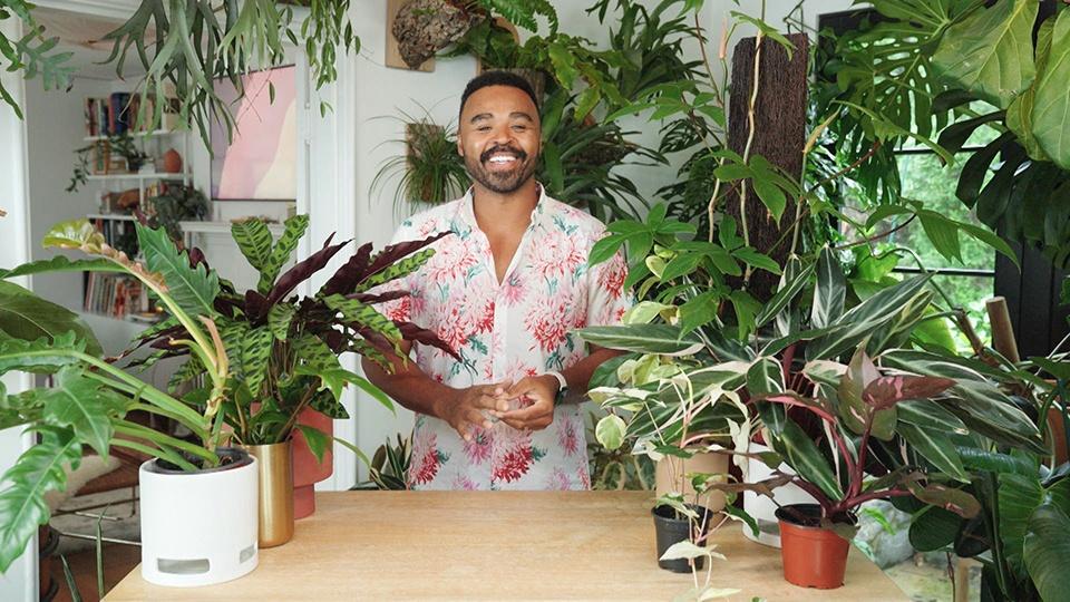 Hilton Carter surrounded by a variety of potted plants.