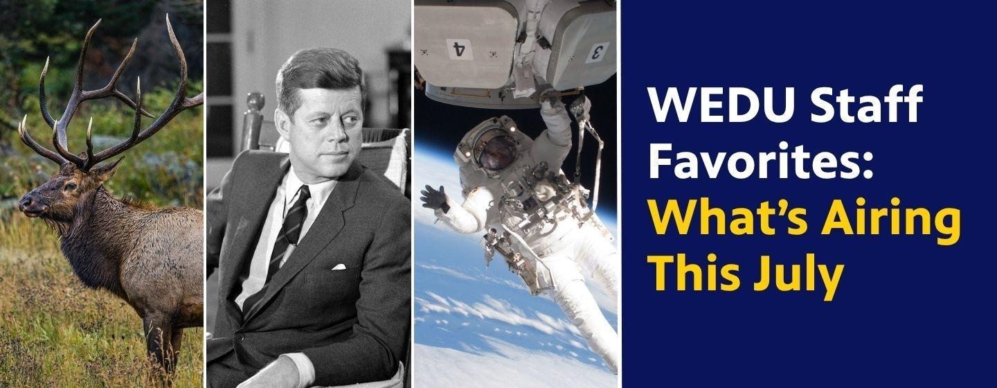 An elk/moose with large antlers, a picture of JFK sitting in rocking chair, and astronaut in space holding onto a satellite