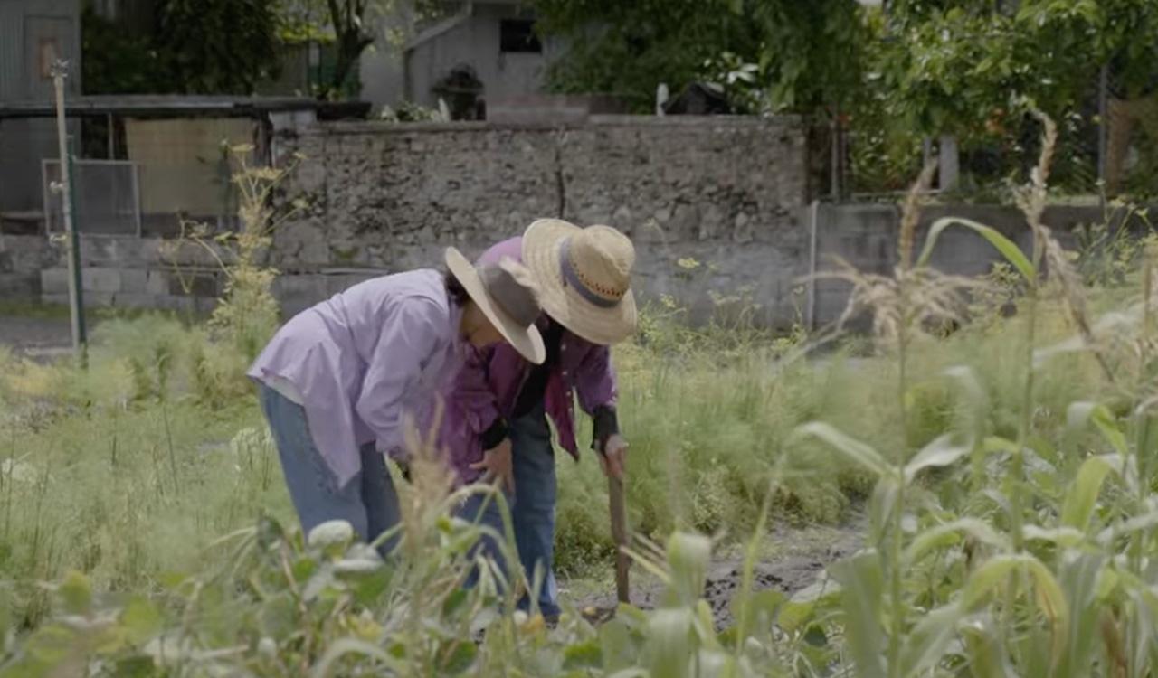 The Giunta sisters working on their Ybor City urban farm