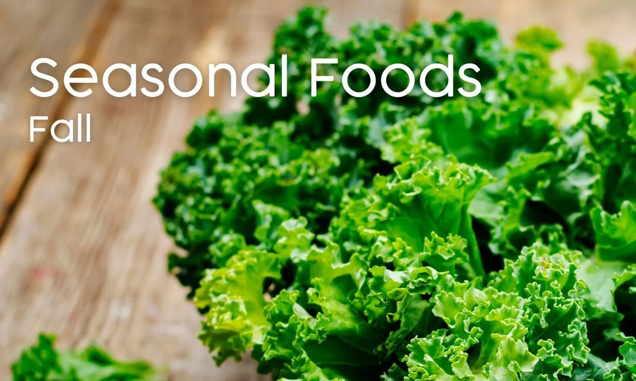 Kale - Fall Seasonal Foods