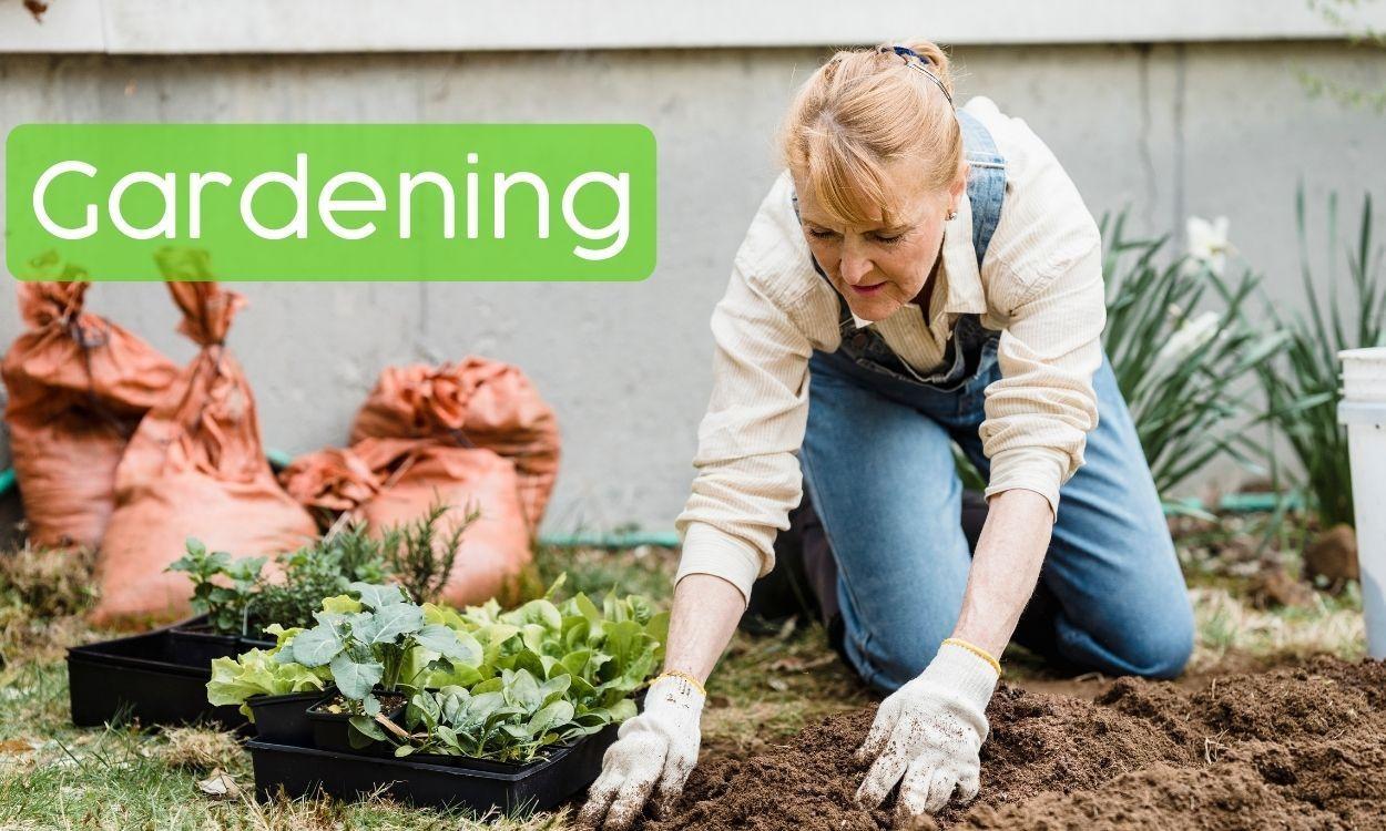 Woman on her knees working in the soil; she has crated seedlings on the ground next to her.