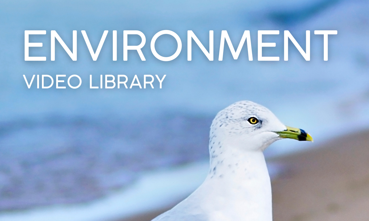 Environment Video Library