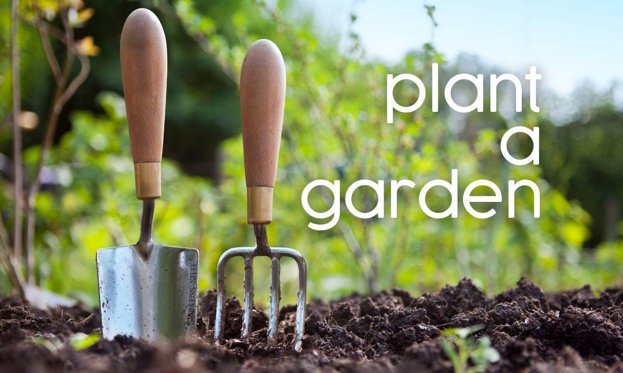 Plant a Garden | Garden Tools Upright in Soil