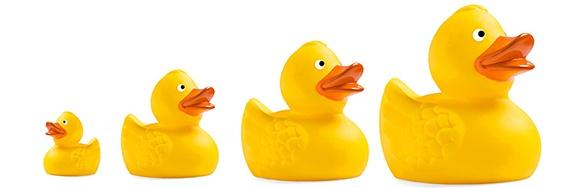 Ducks in a row