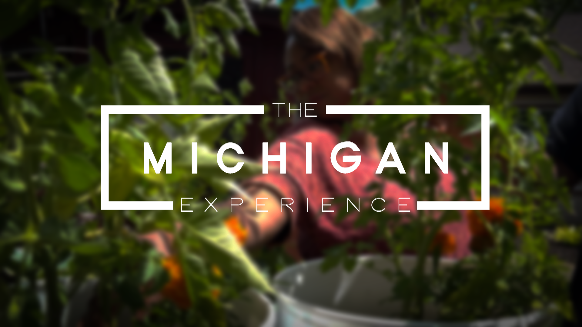 Blury image of a garden with the Michigan Experience Logo