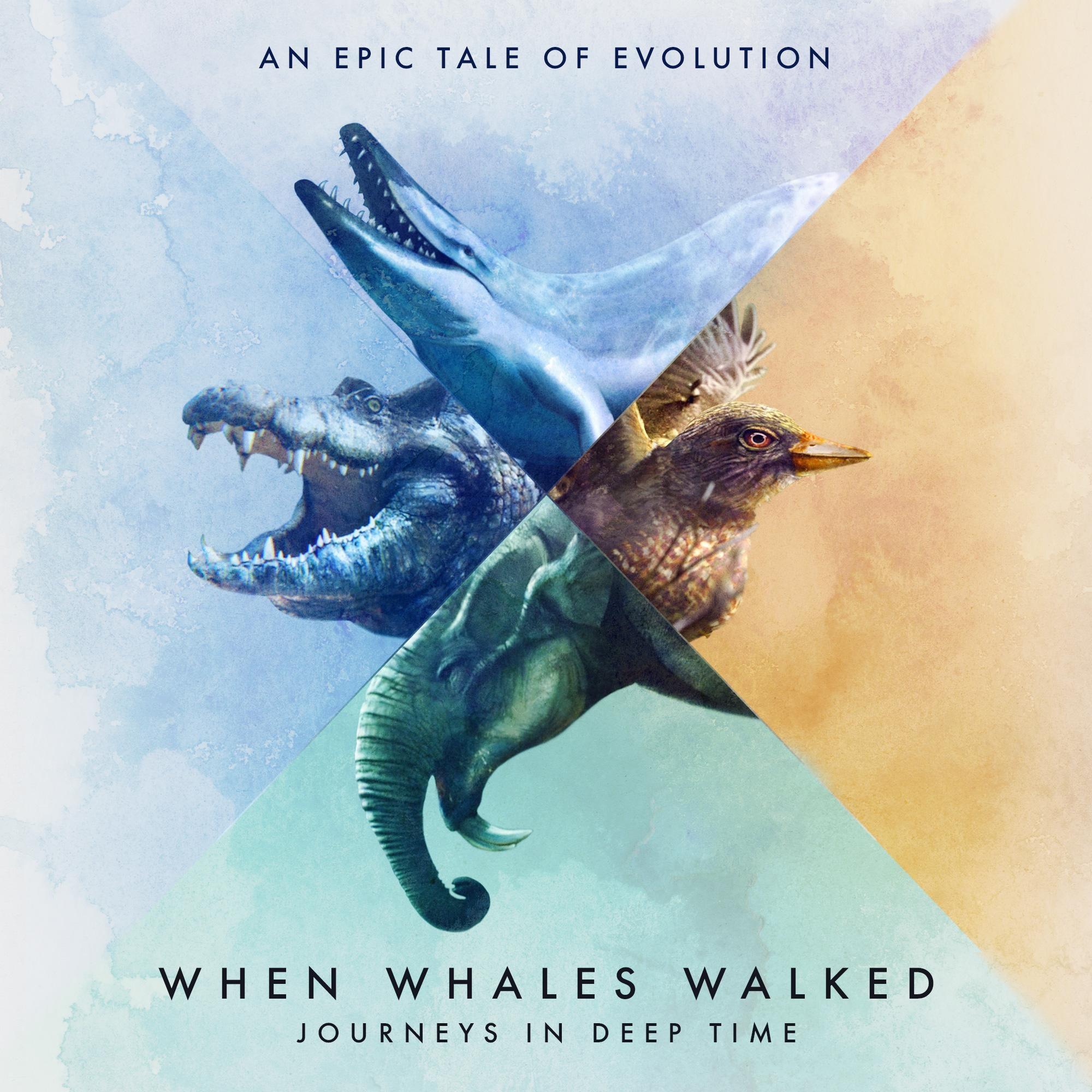 When Whales Walked key image