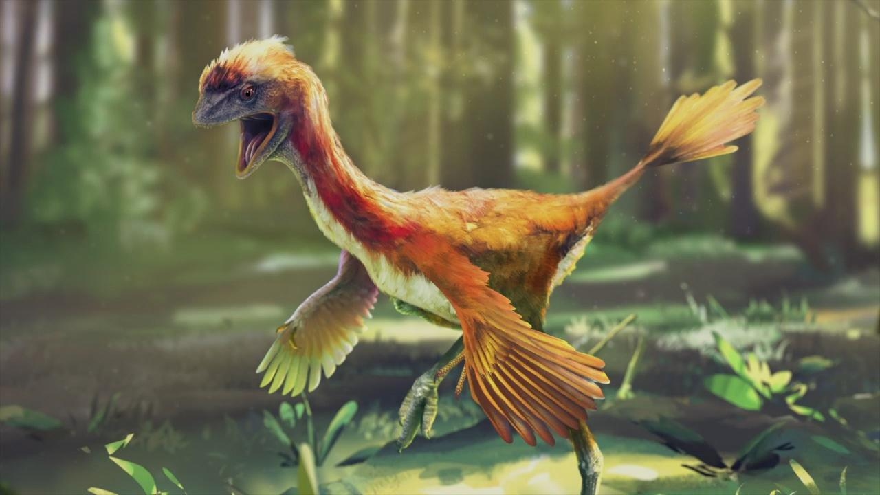 prehistoric birds