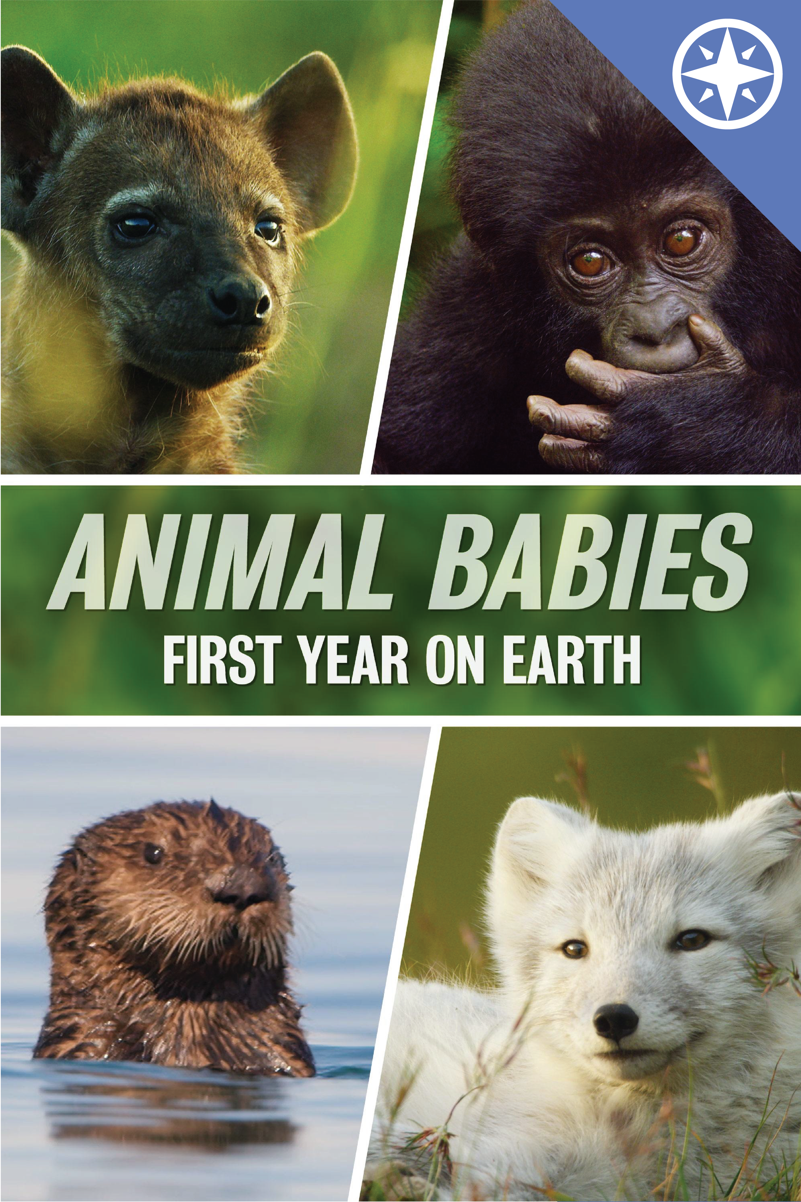 Meet six baby animals from across the globe. Follow along as they experience joy and hardship, confront near-daily adversities, navigate their habitats, and overcome challenges in their first year of life.<br><br>**Expires: 07/24/2027