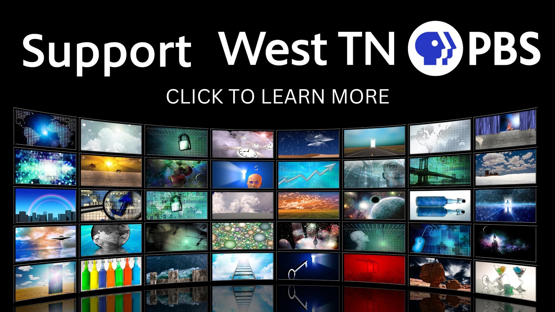 Support your local PBS station