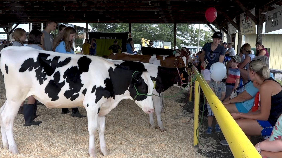 Middletown Grange Fair Returns