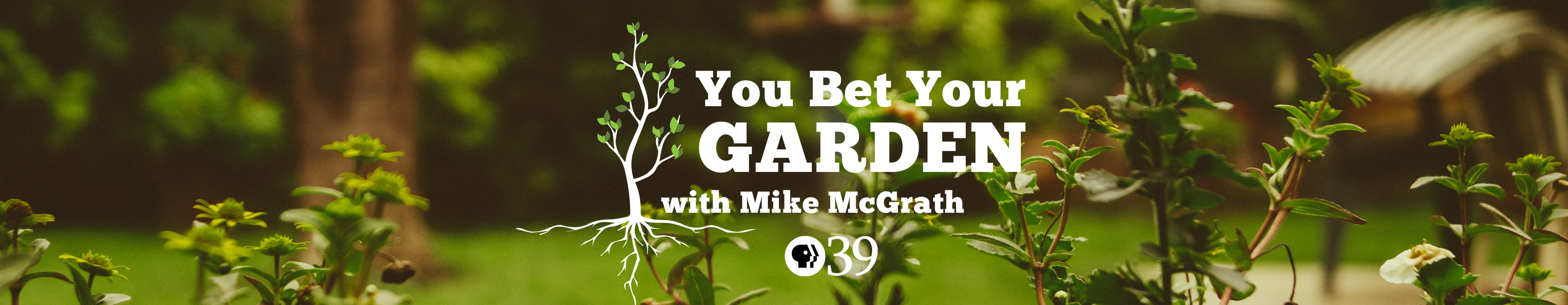 You Bet Your Garden airs Mondays @ 3 p.m. Wednesdays @ 5 p.m. and Saturdays @ 10 a.m. 