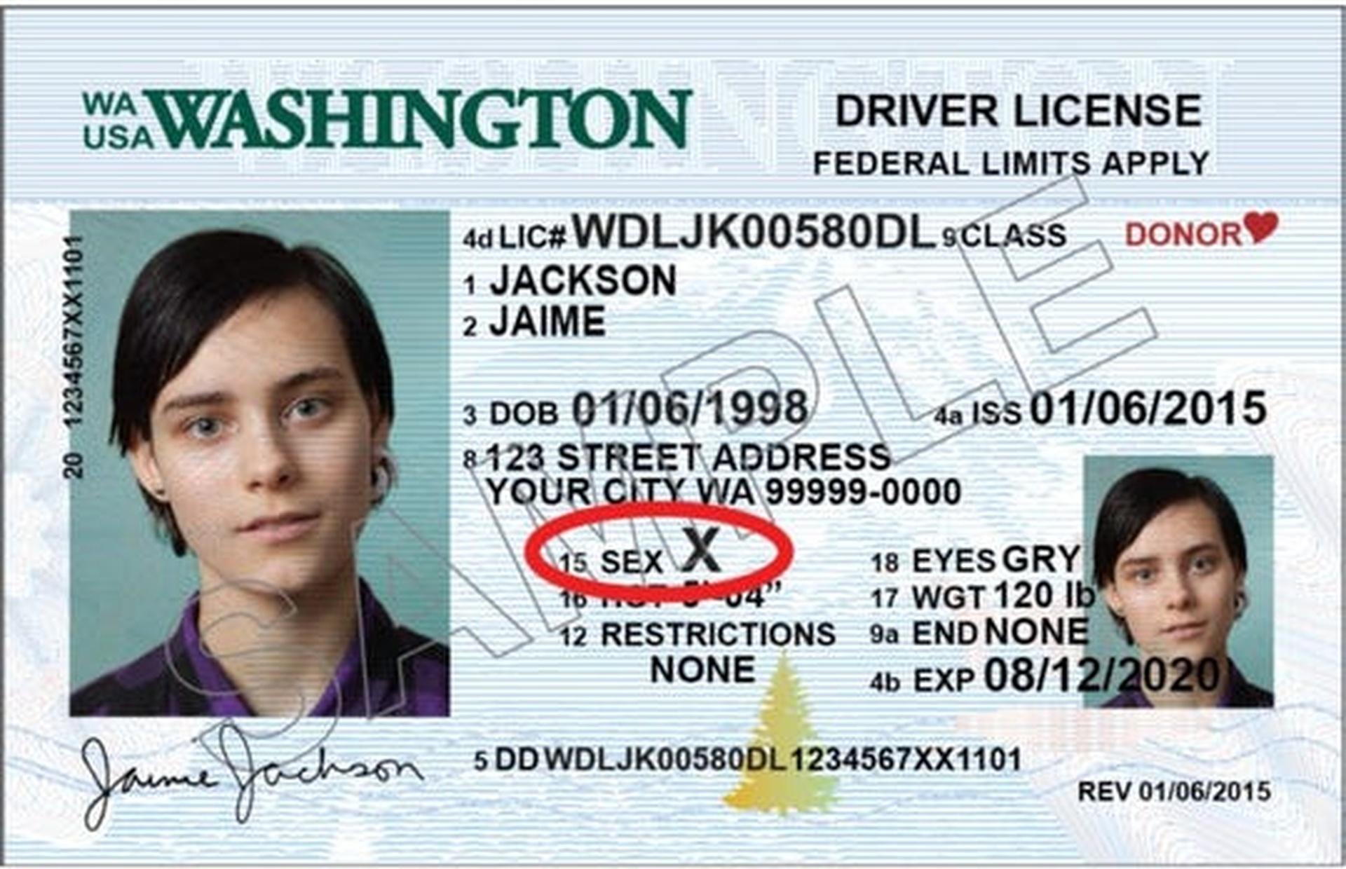 Gender 'X': New Option on PA Drivers License