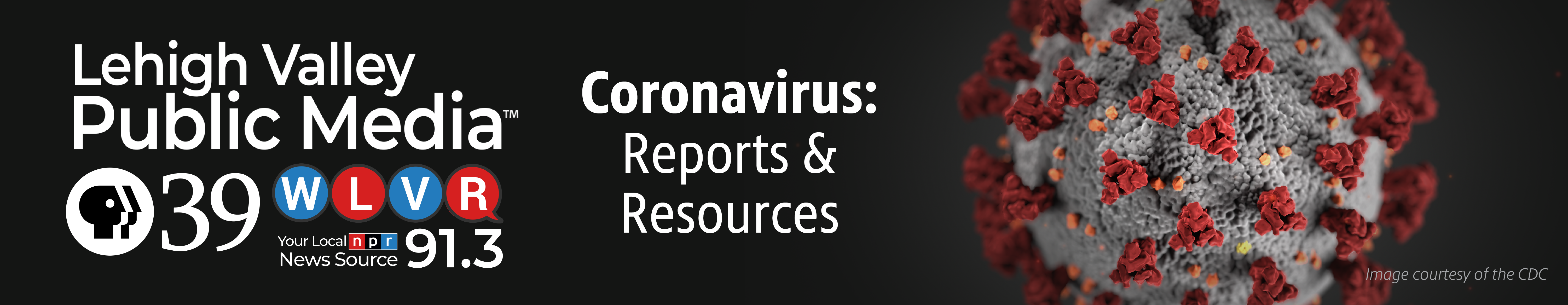 Coronavirus Reports Resources