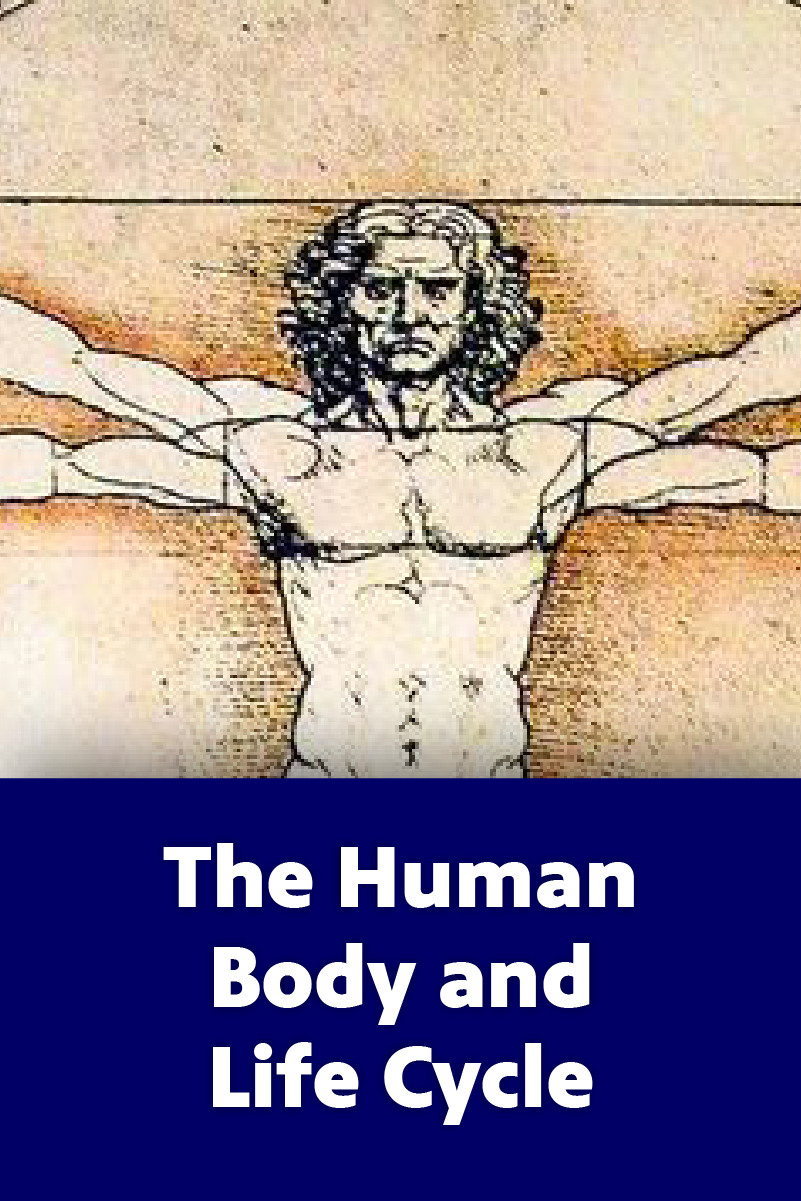 The Human Body and Life Cycle
