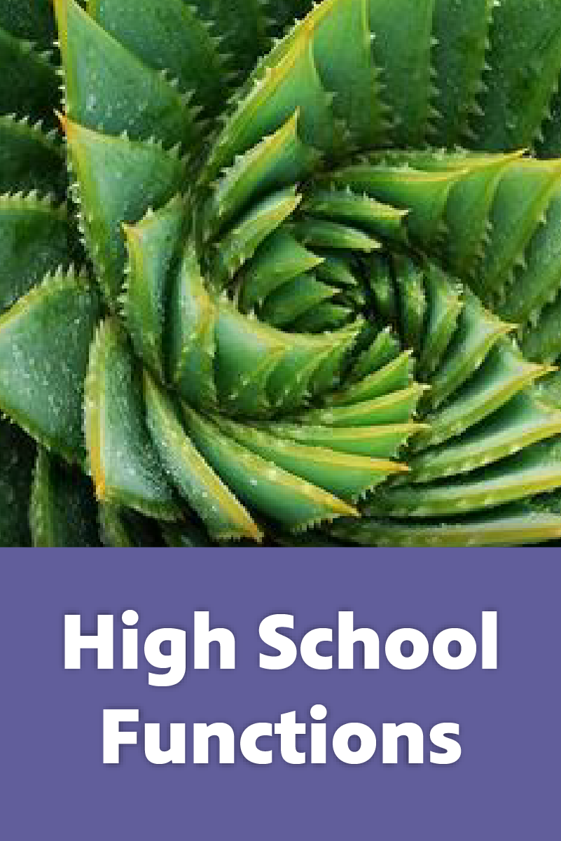 High School Functions