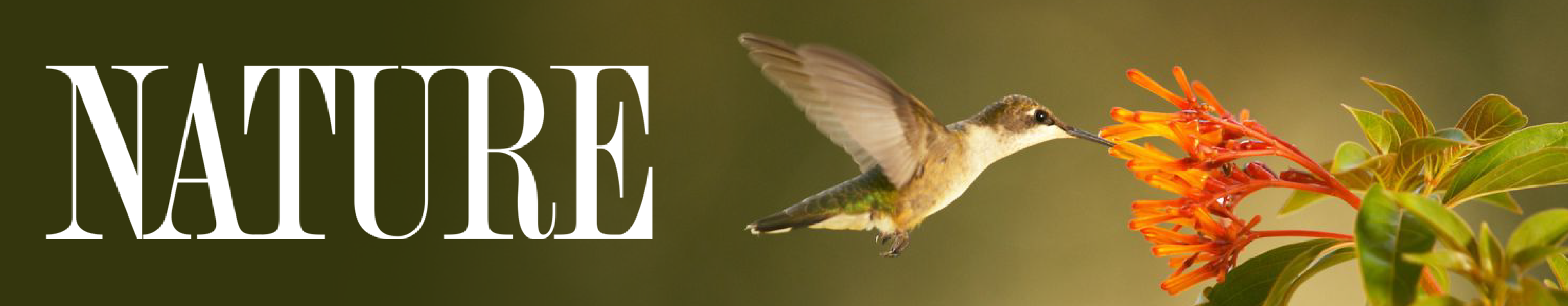 NATURE